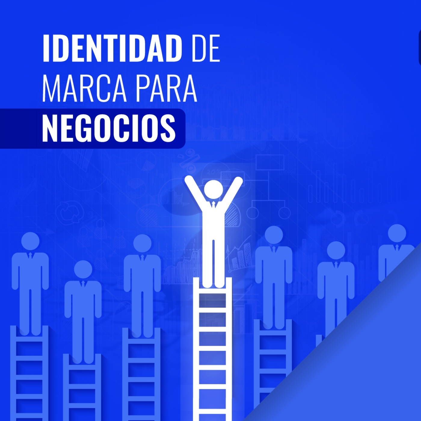 Marketing con Elite