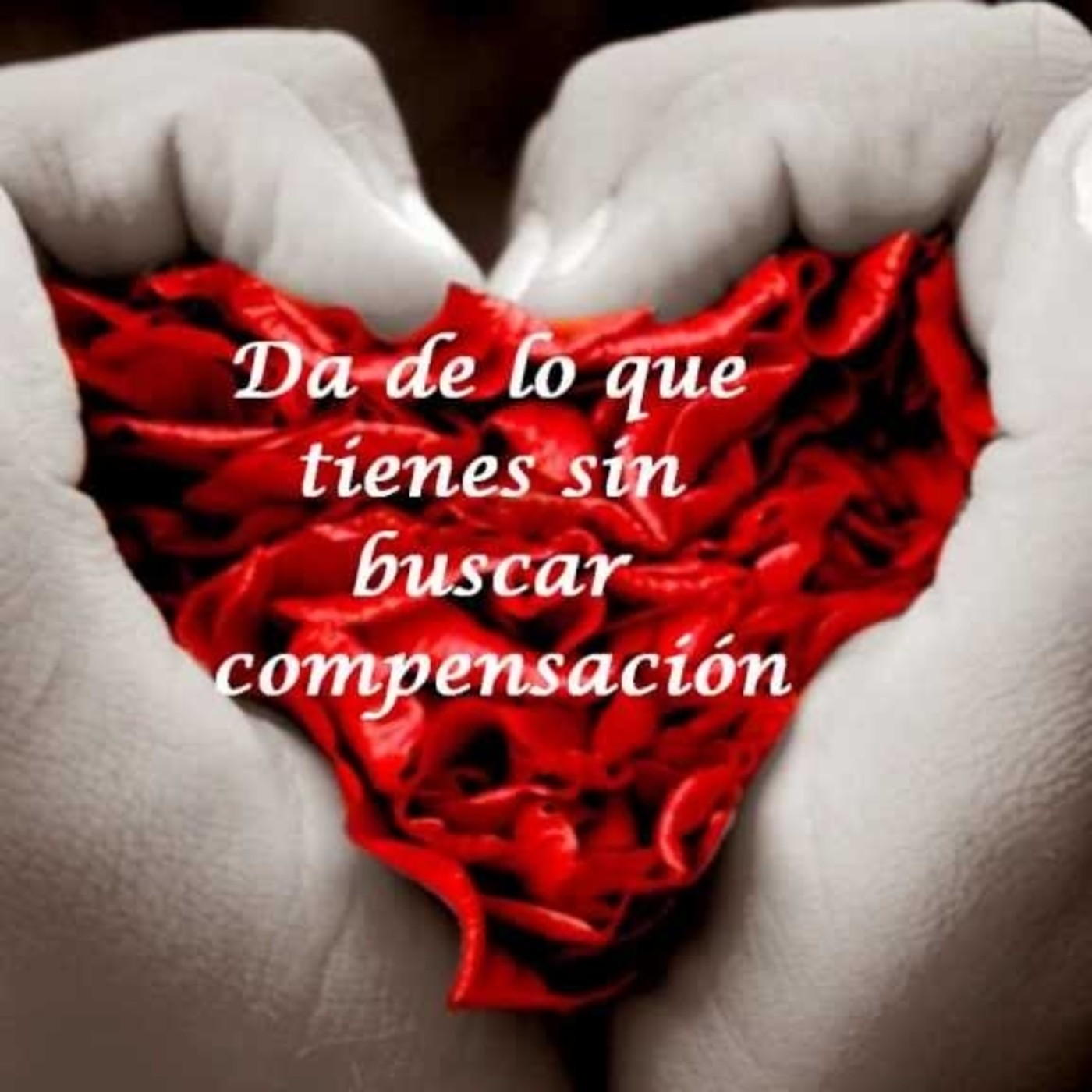 Renuevate Coaching en la Radio