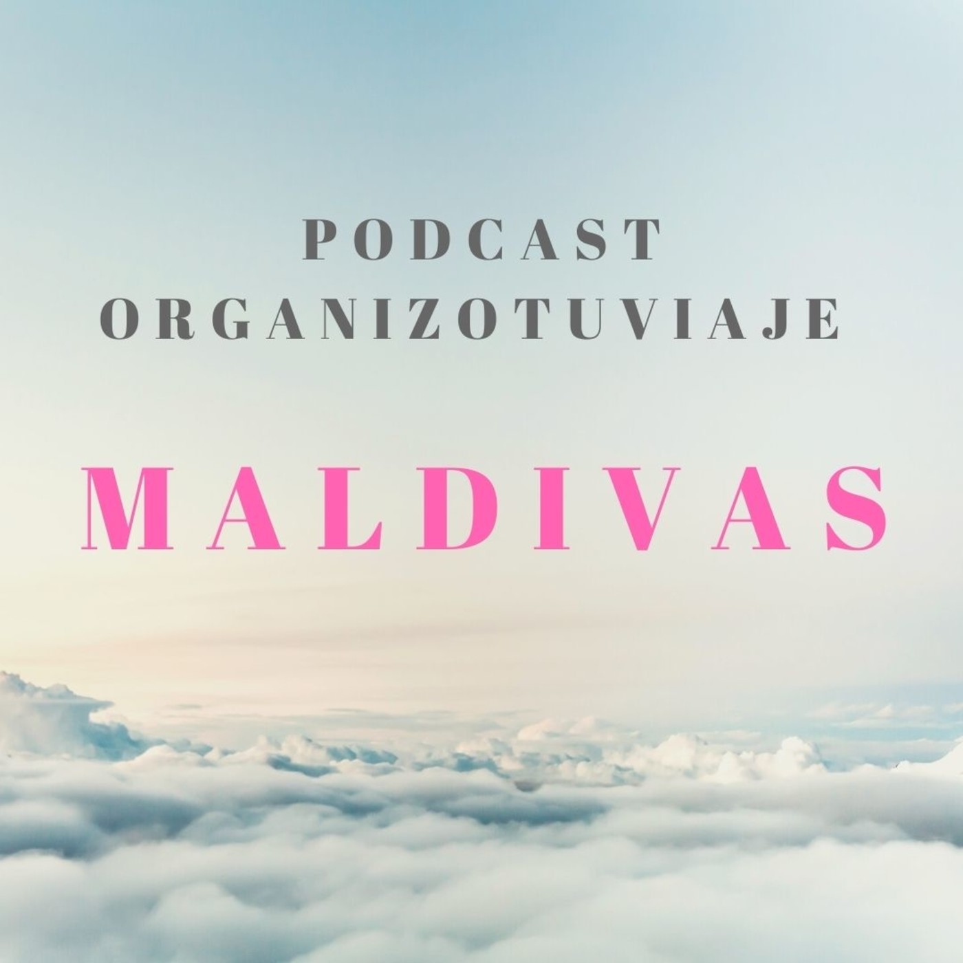 Organizotuviaje