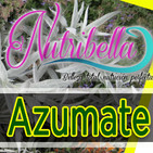 Nutribella - AZUMATE