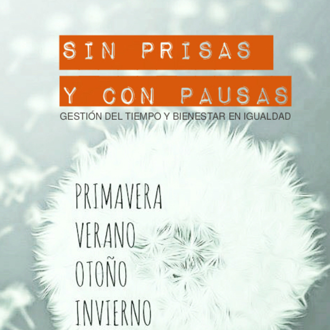 SIN PRISAS Y CON PAUSAS - Igualdad y bienestar