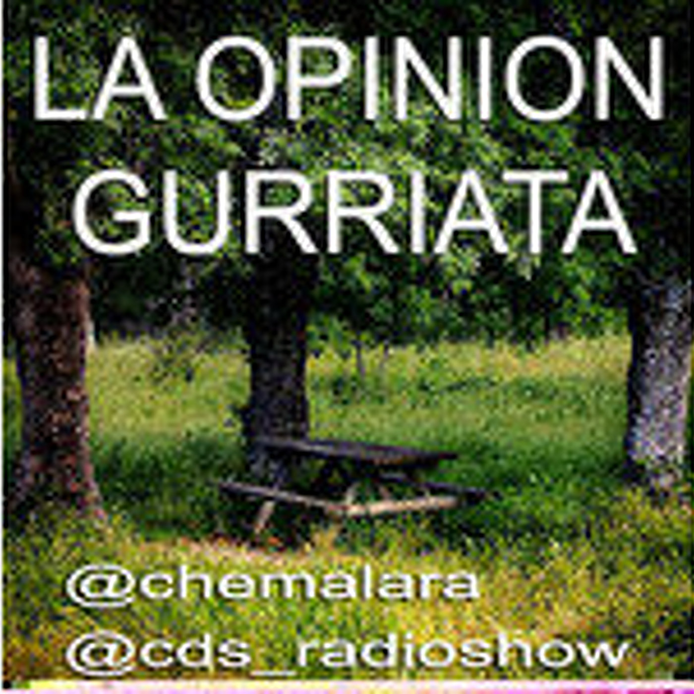 La opinión gurriata