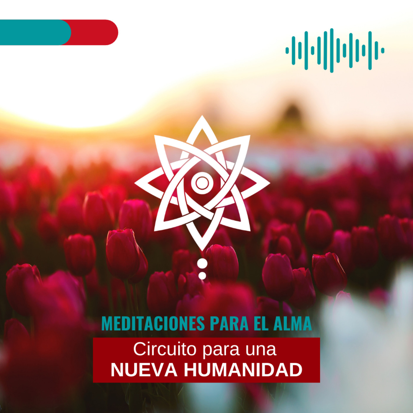Meditaciones para el Alma