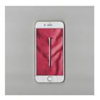 embed image