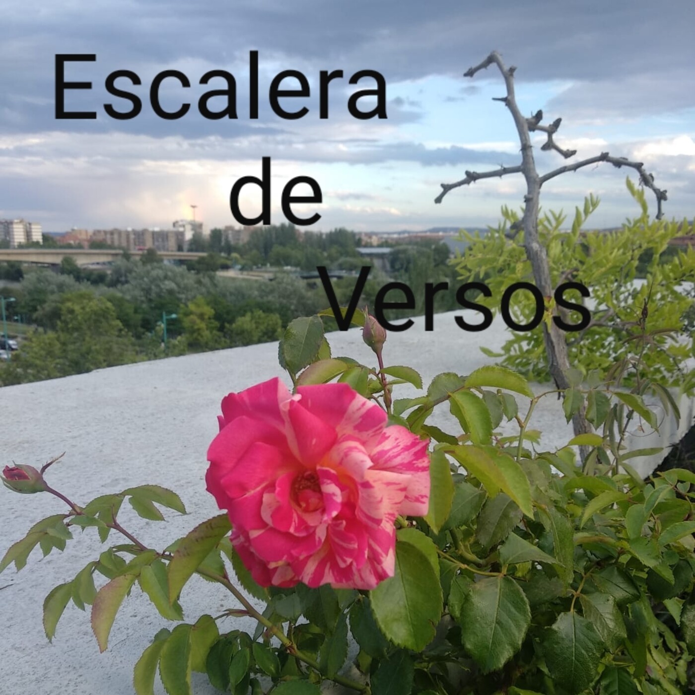 ESCALERA DE VERSOS