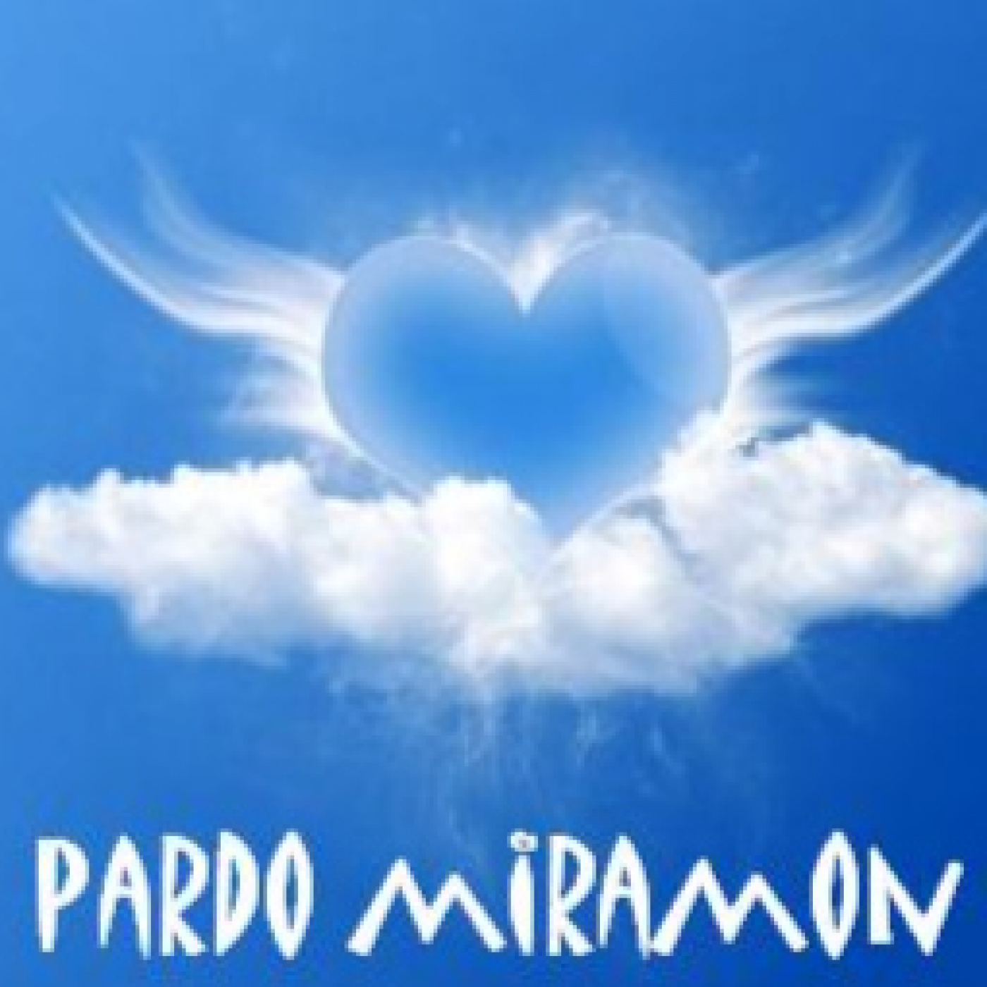 PARDO MIRAMON