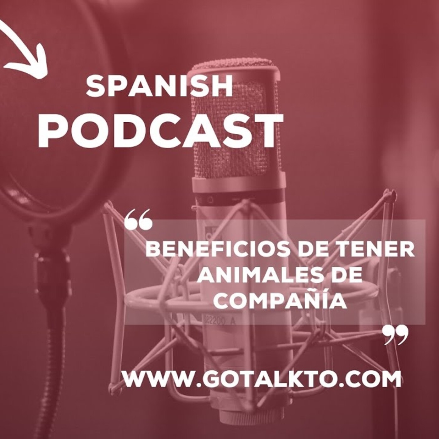 Spanish Podcasts with GOTALKTO