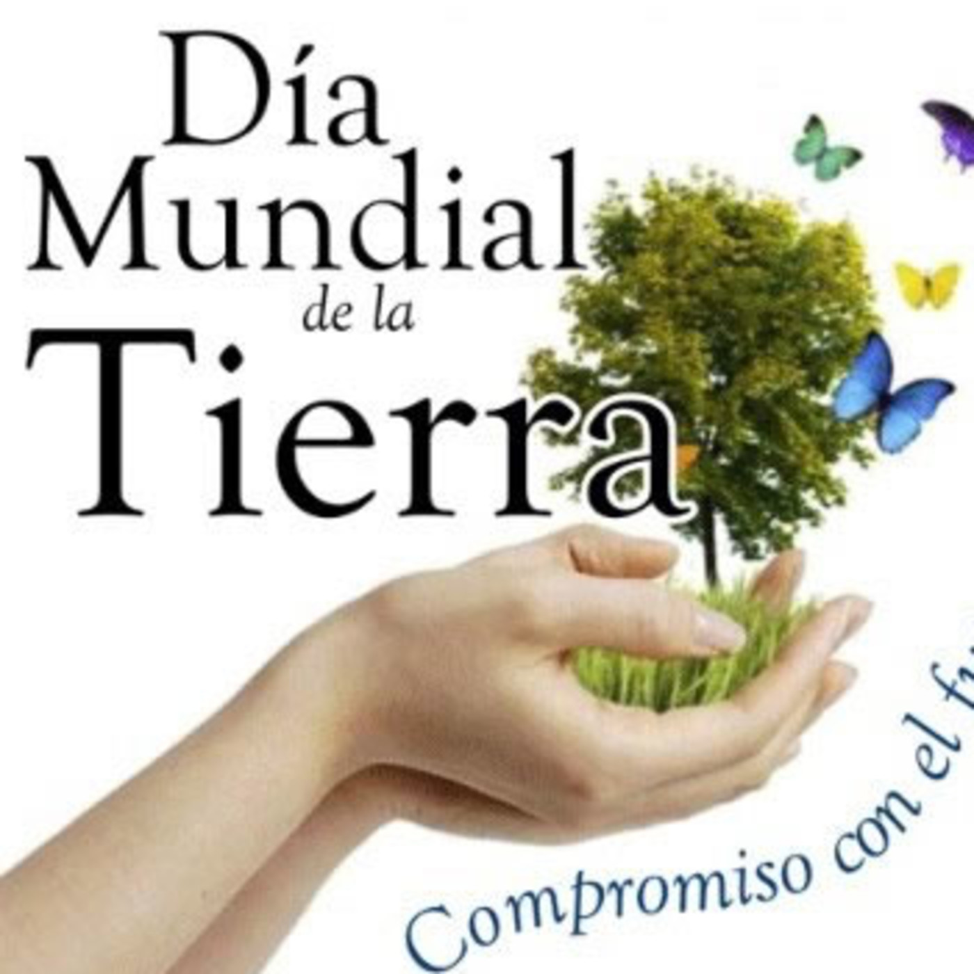 programa el puente