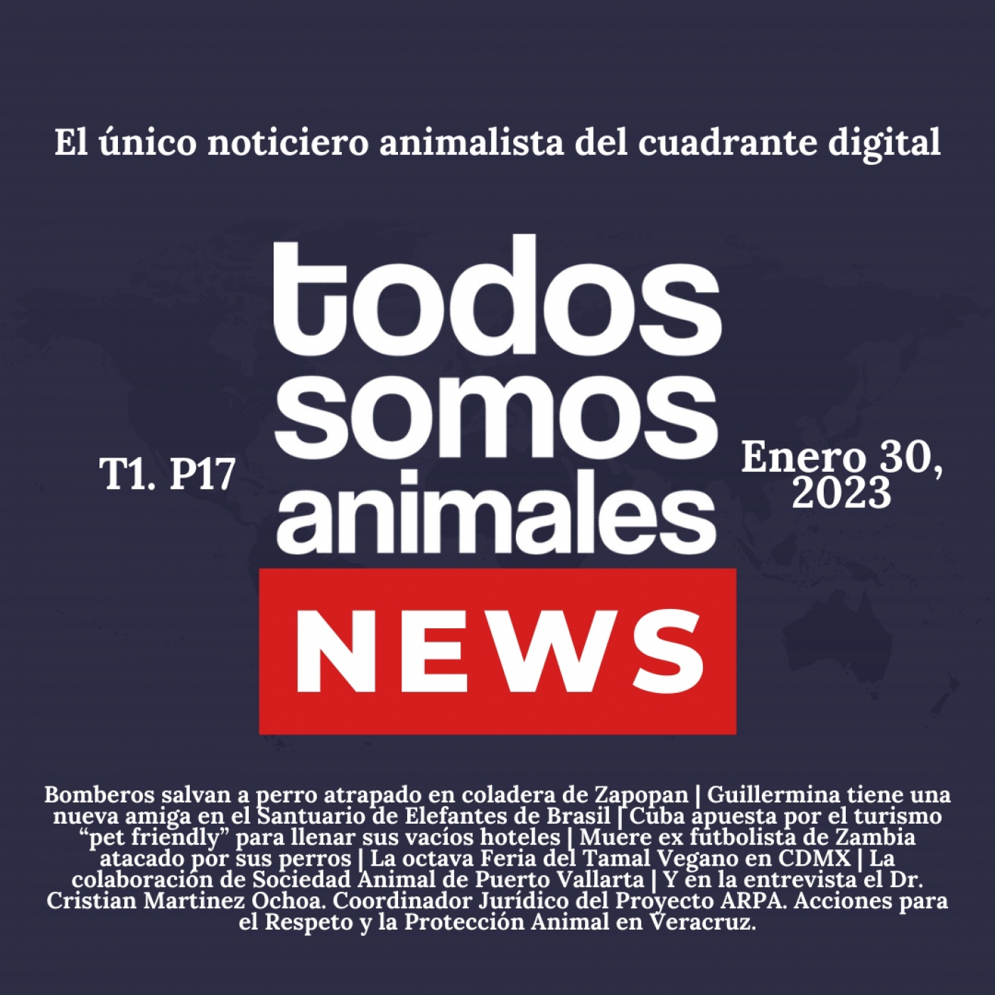 Todos Somos Animales News