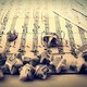 El Musiquer 16 dejuny de 2019