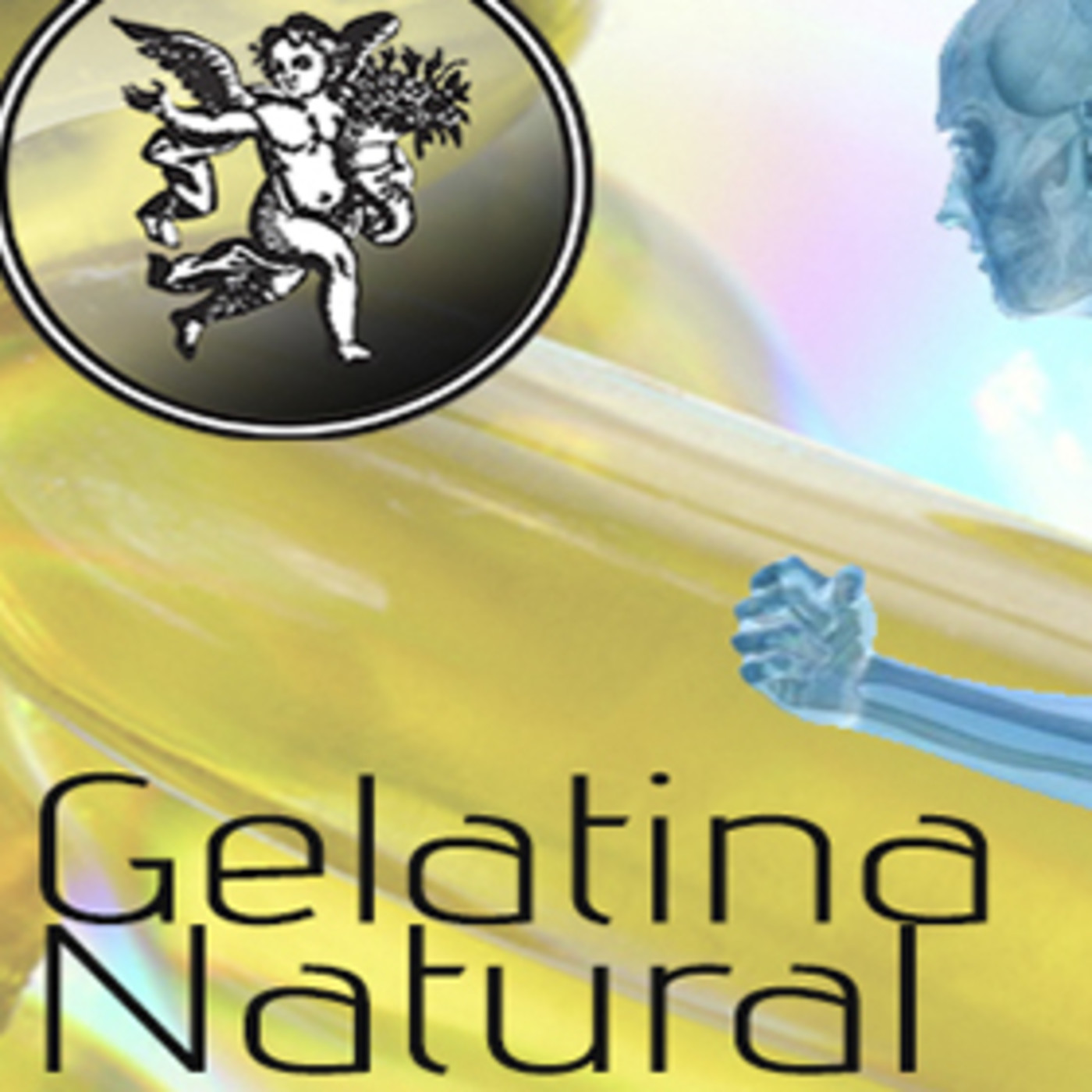 El Angel de tu Salud - GELATINA NATURAL