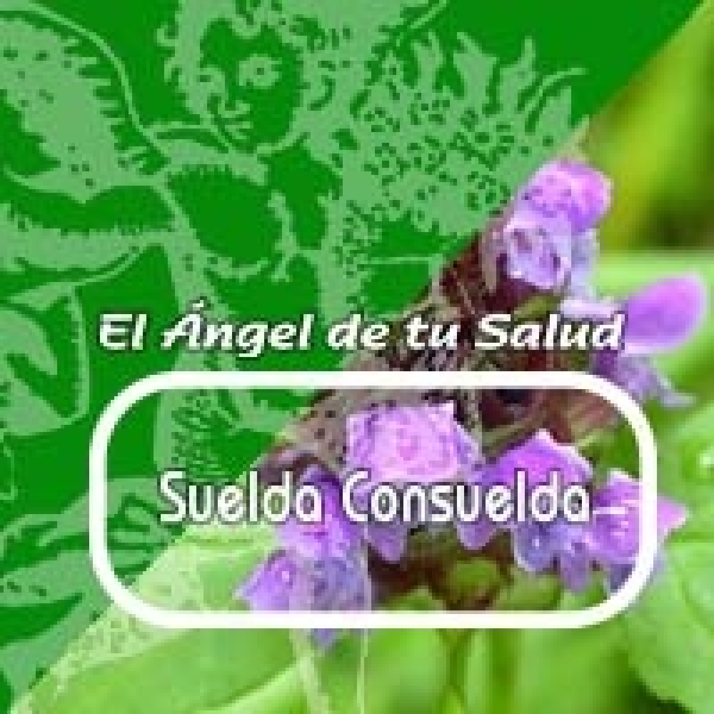 El Angel de tu Salud - SUELDA CONSUELDA **