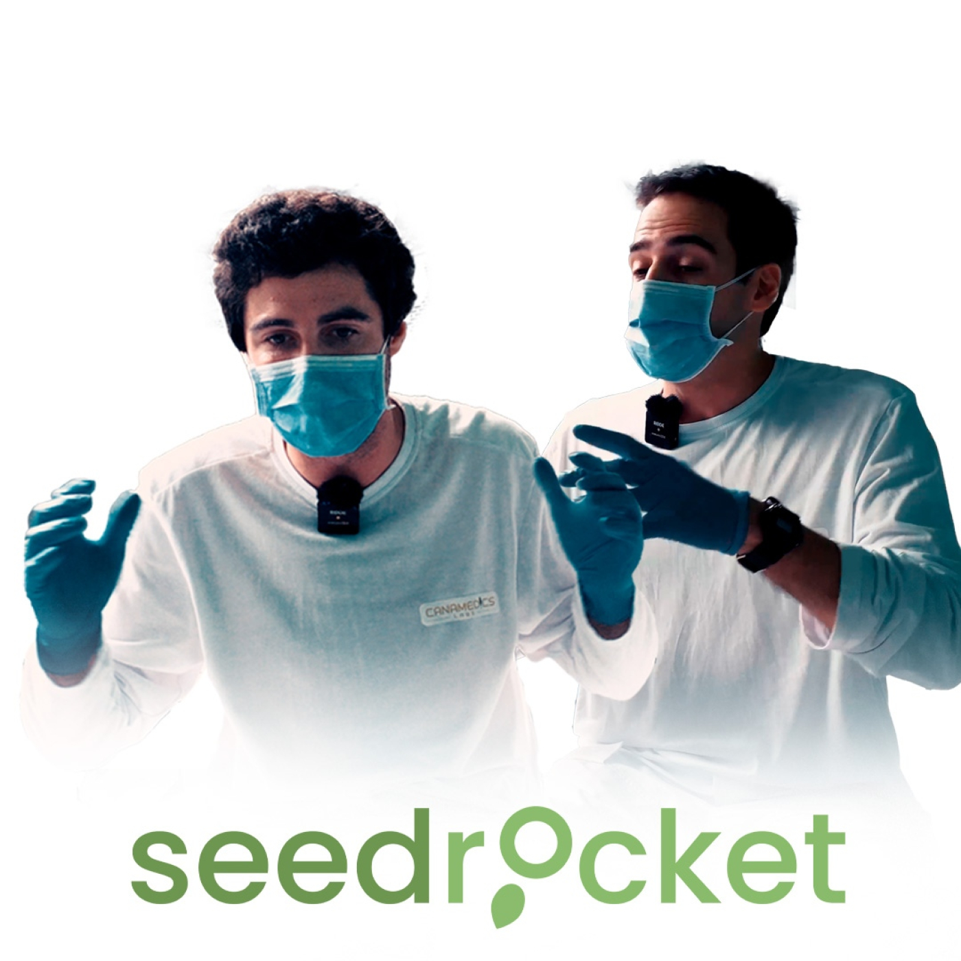 Seedrocket