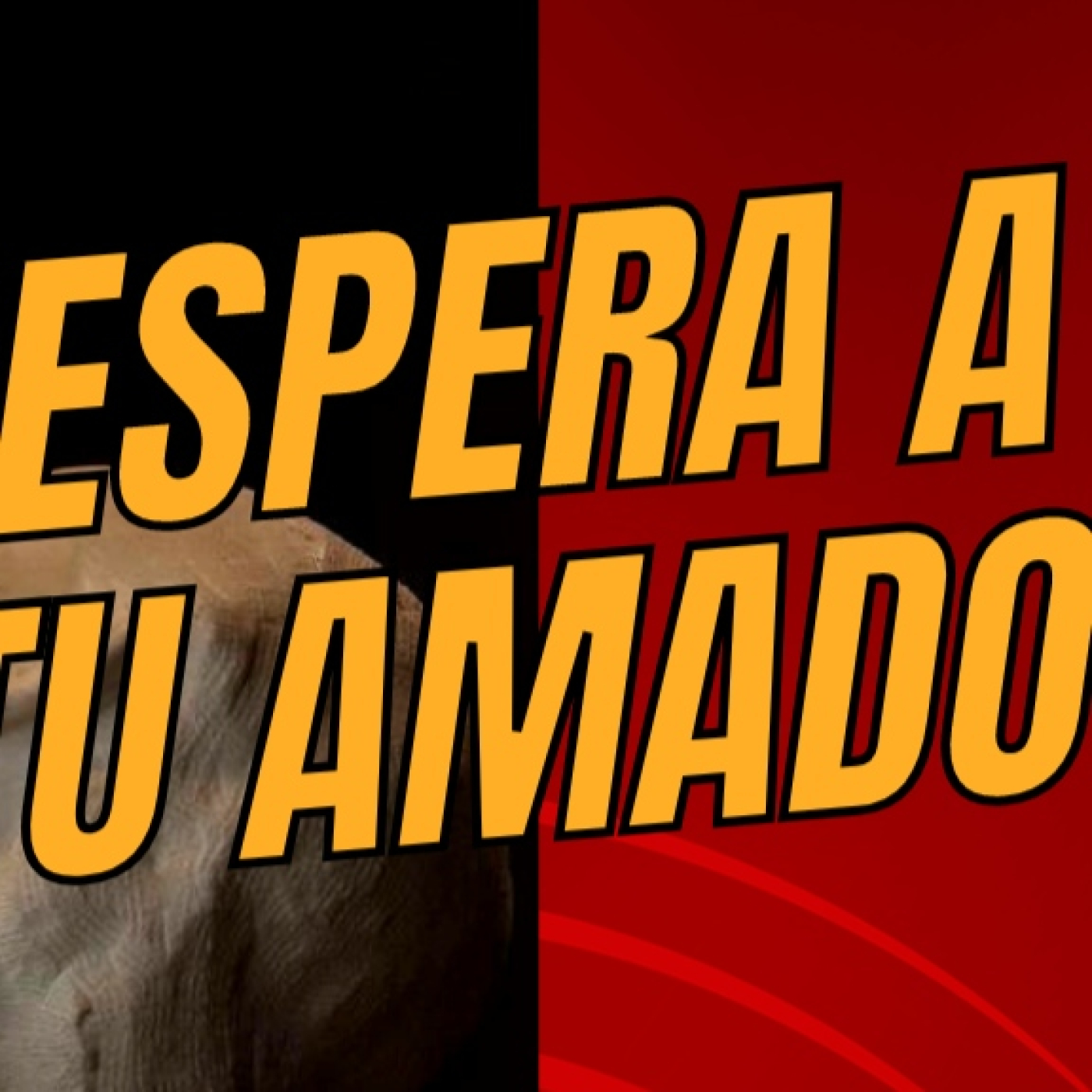 Padre Fernando Cárdenas
