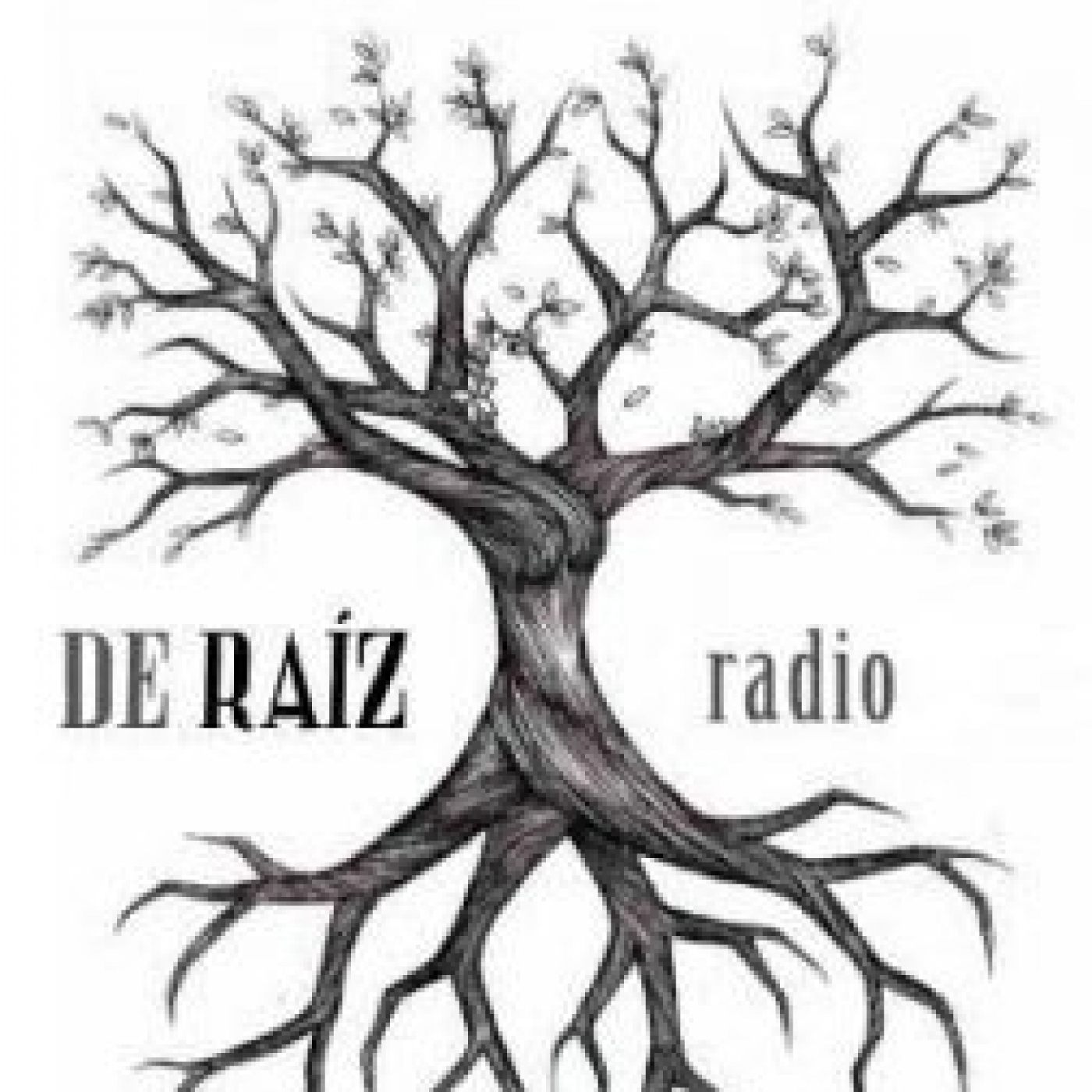De Raíz #127: La Poderío/ Violencia de género en crisis humanitarias/ Aniversario Contrabanda episode artwork