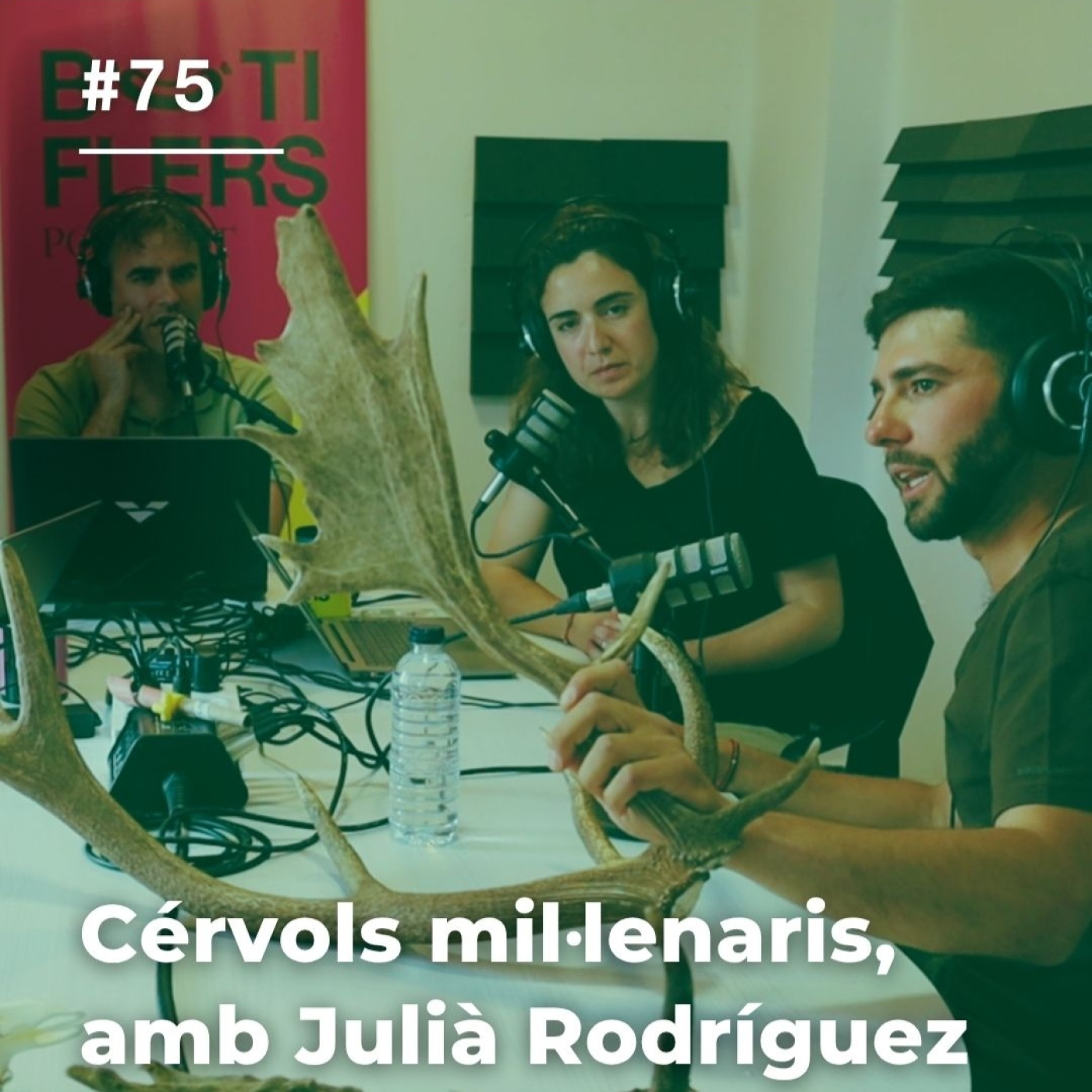 Caràtula