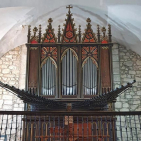 embed image