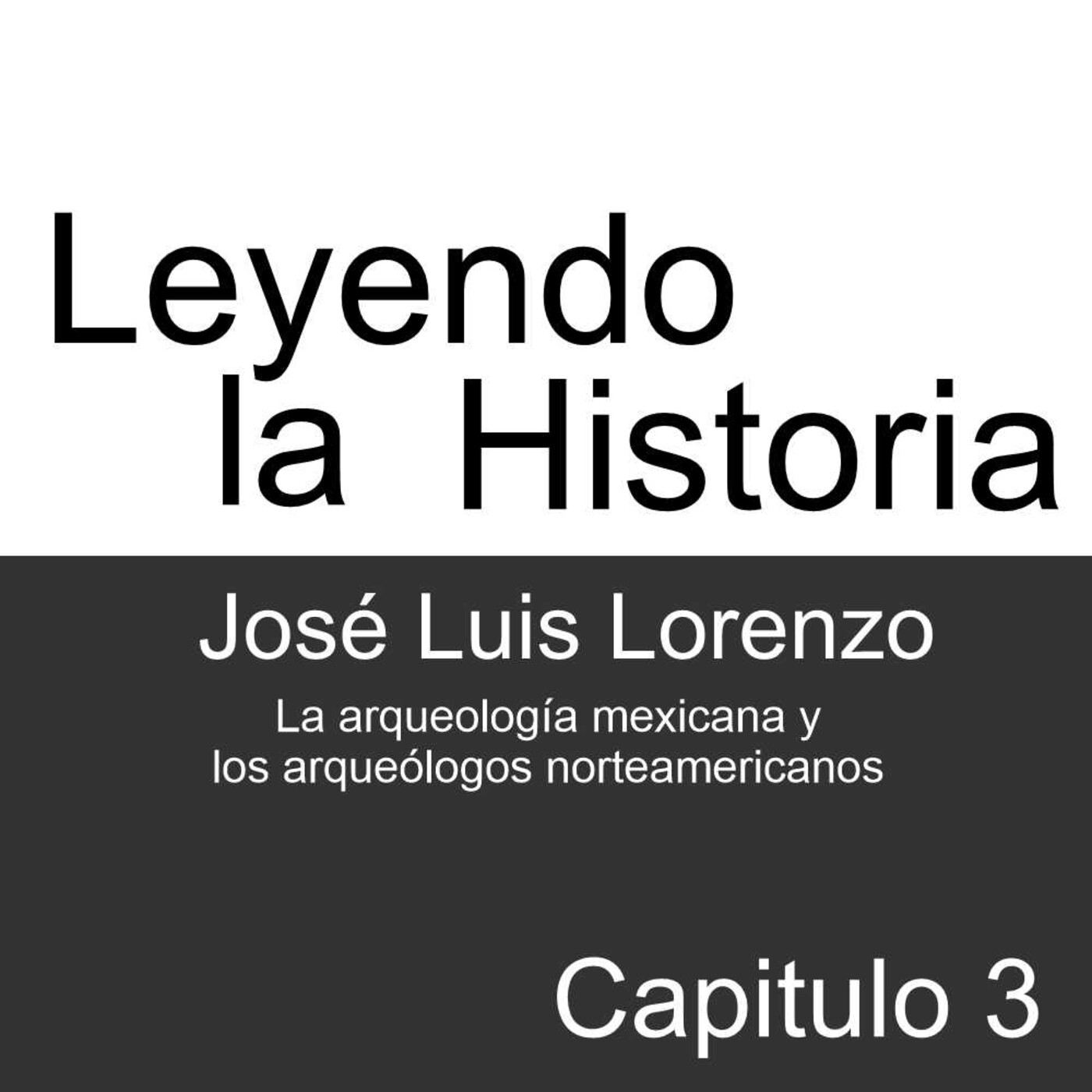 Leyendo la Historia