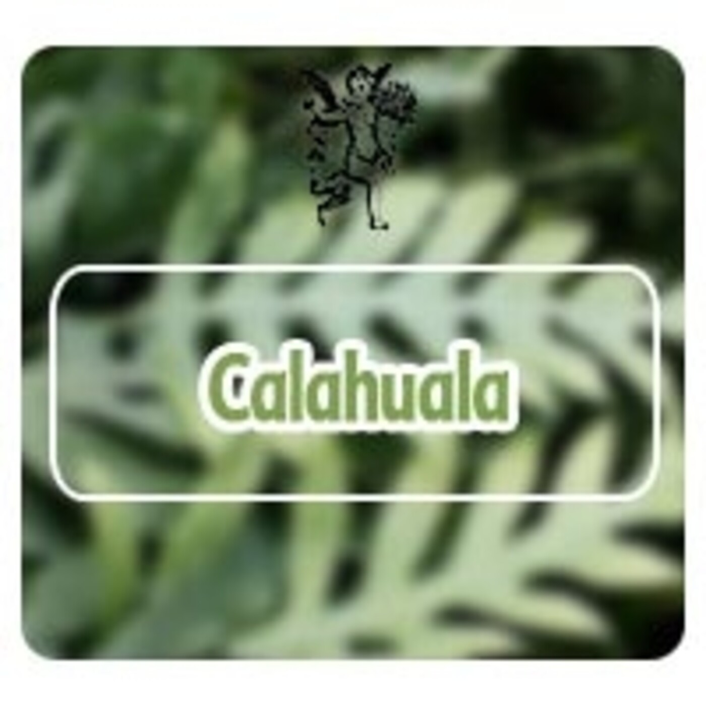 El Angel de tu Salud - CALAHUALA*
