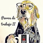 Perros de trabajo 2