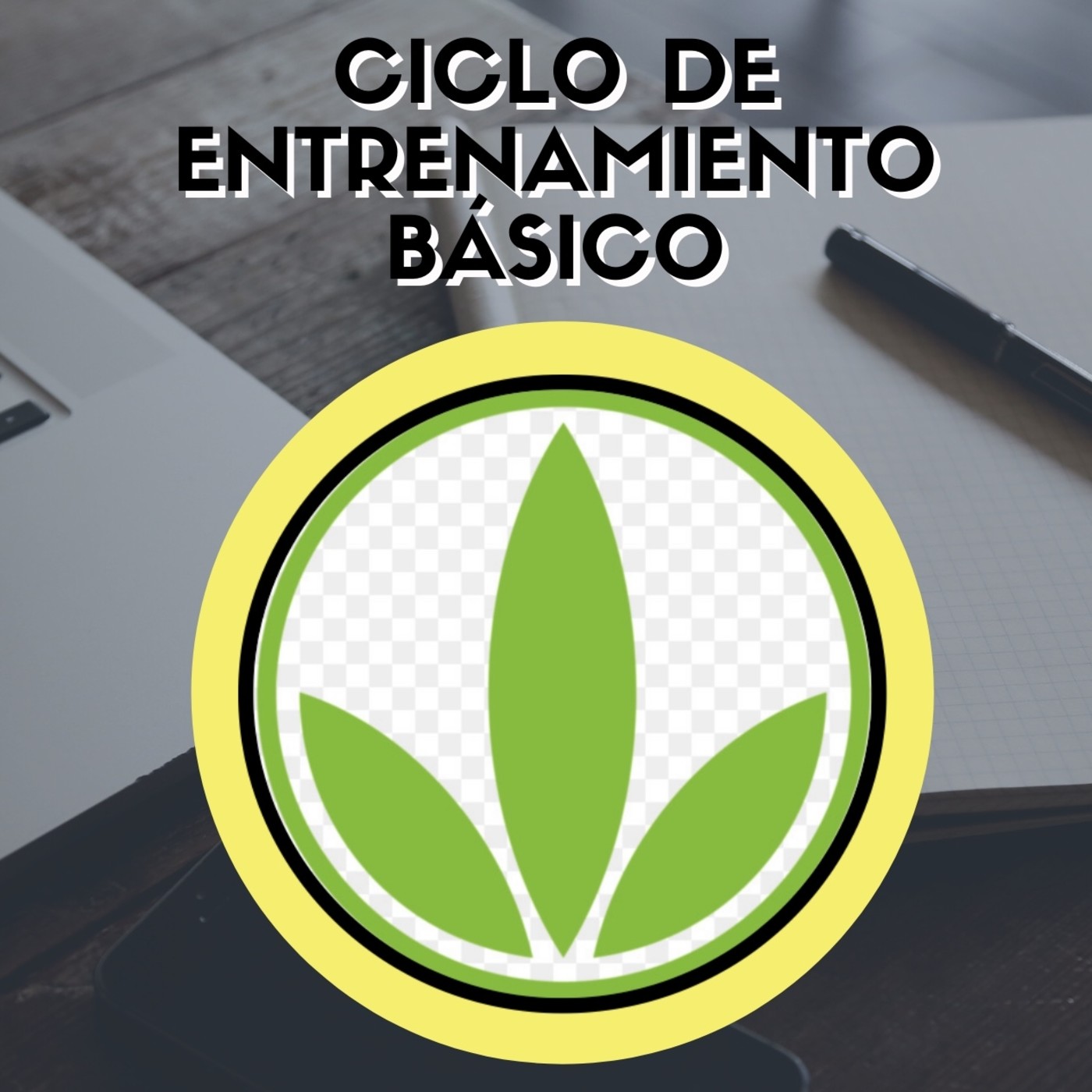 HBL DE LOS PROFESIONALES
