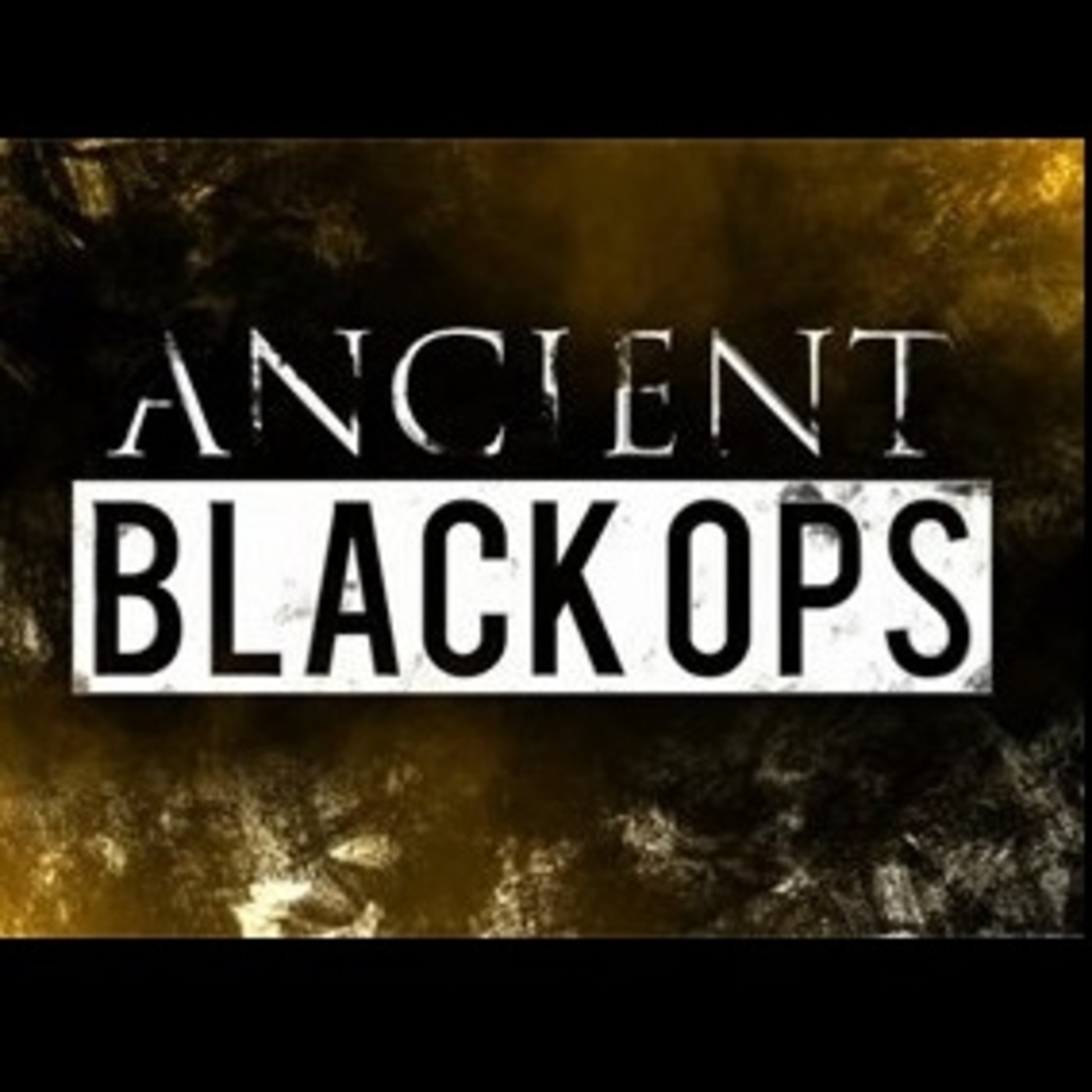 Conflictos Armados