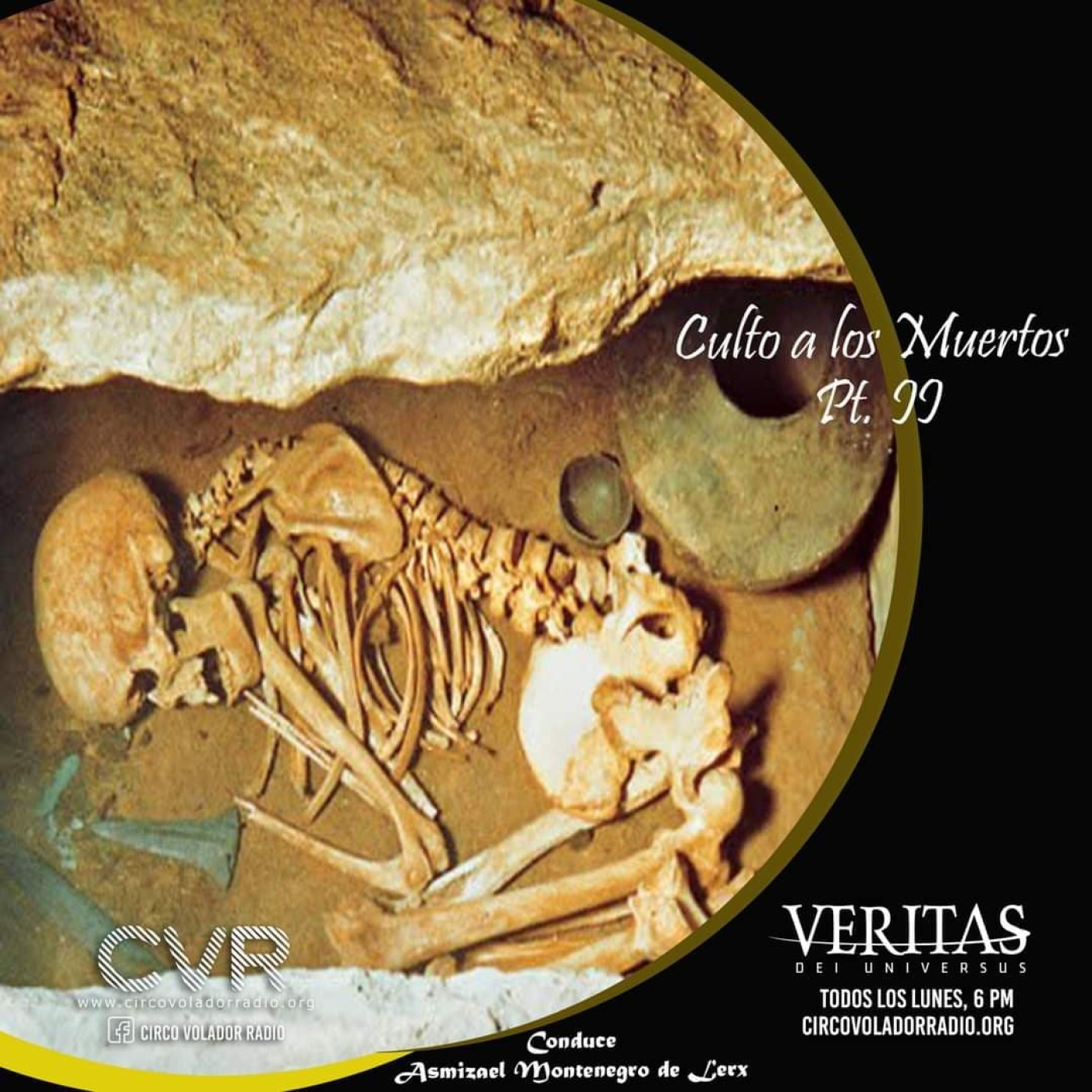 Veritas dei Universus