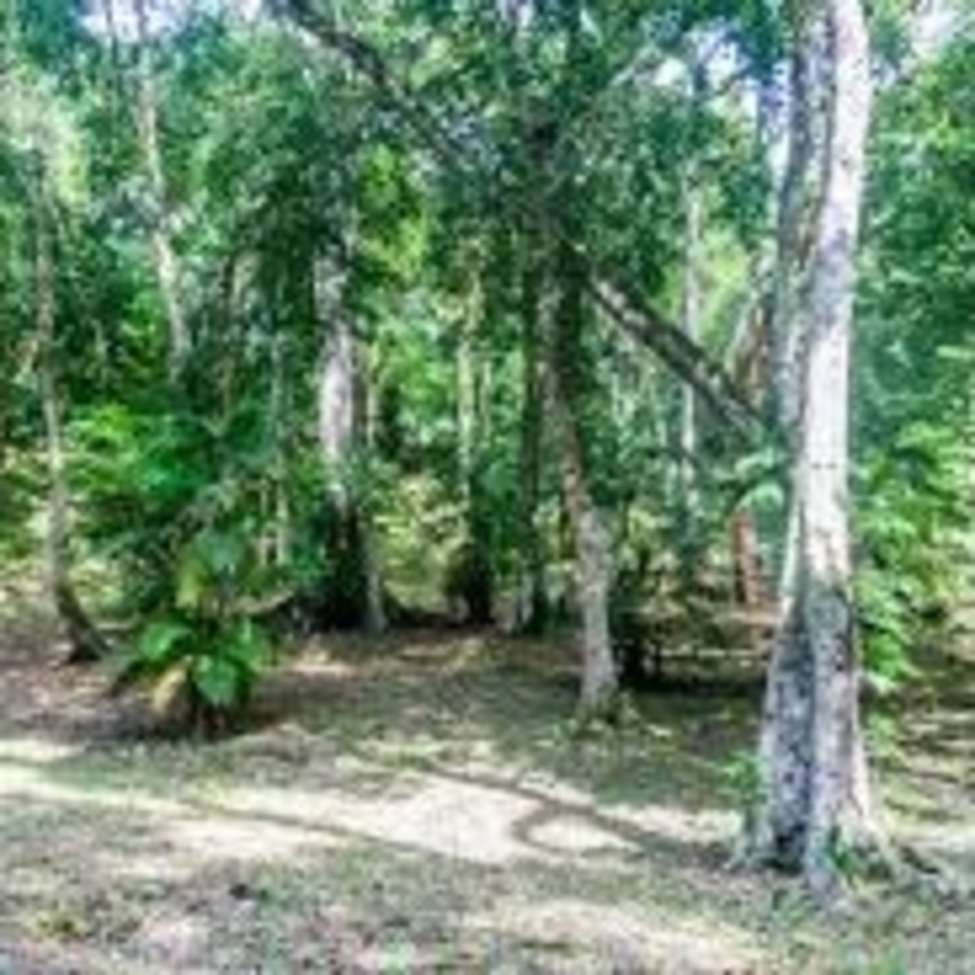 Próxima Estación Esperanza