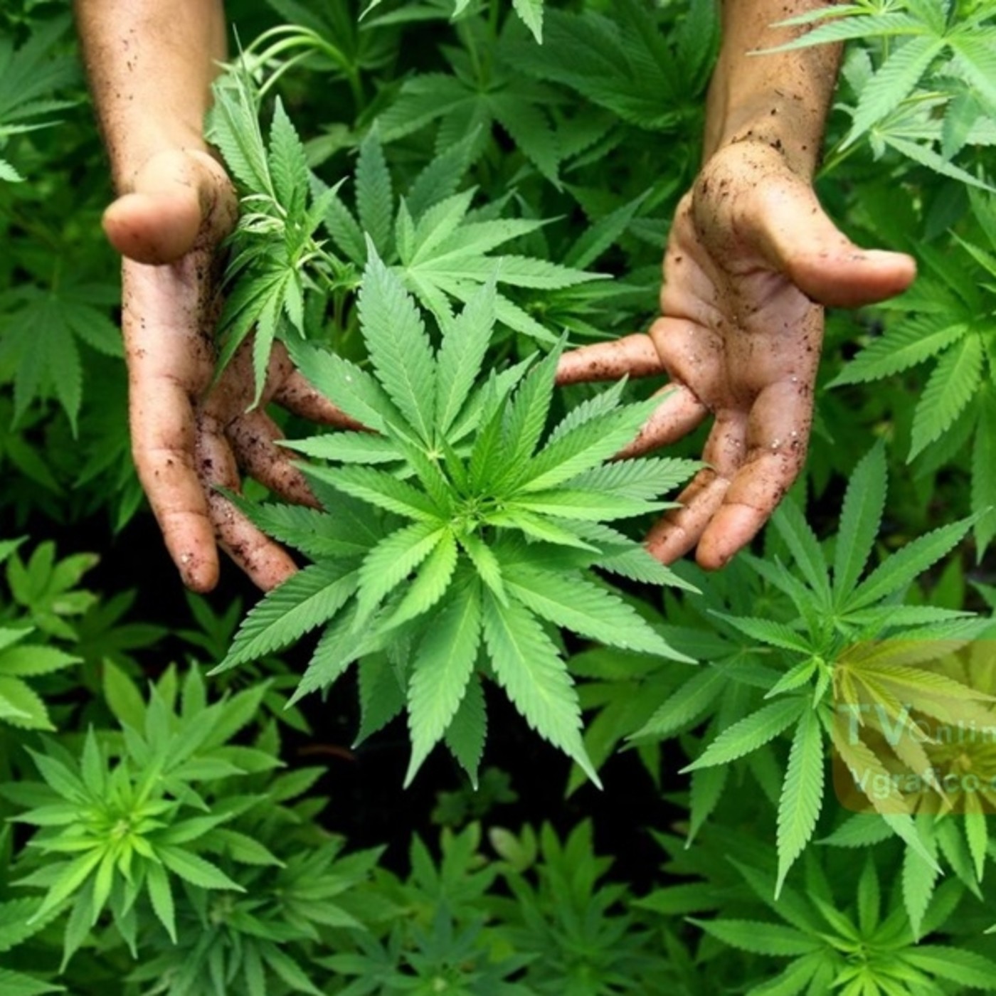 Cosas que pasan (Radio Libre)