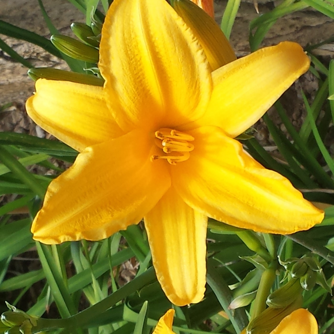 Nuestra Mente es Maravillosa