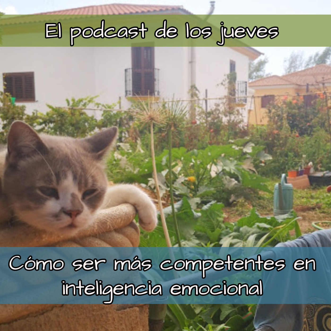 El diván de Lapinturera