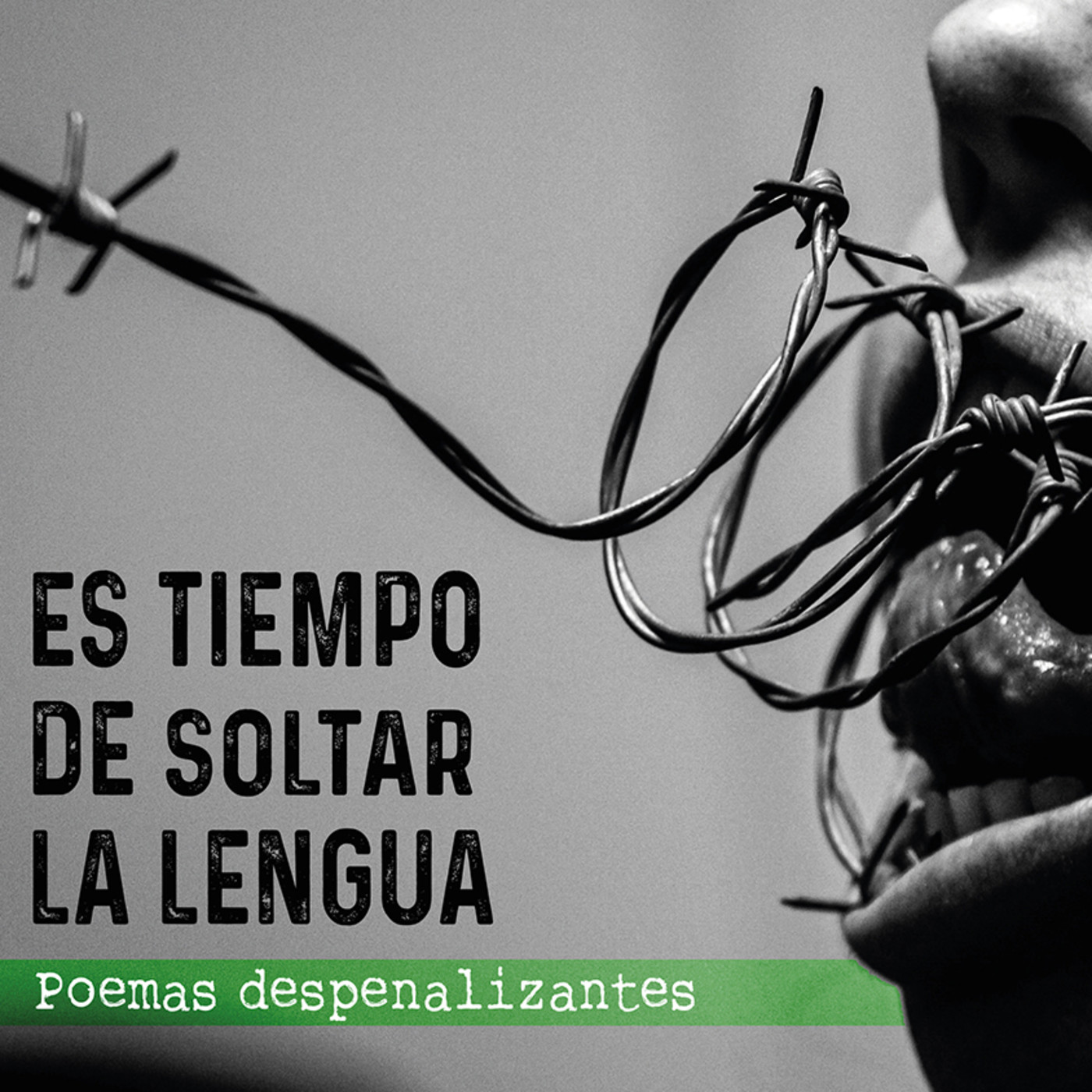Tamara Padrón - 'Es tiempo de soltar la lengua. Poemas despenalizantes' episode artwork