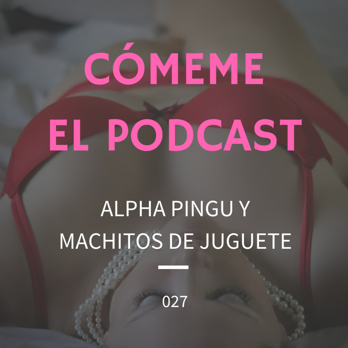 27. Alpha Pingu y Machitos de juguete.