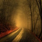 Voces del Misterio MEF: SERENDIPIAS, SINCRONICIDADES, CAUSALIDADES Y EL DESTINO / LUIS MARIANO FERNÁNDEZ