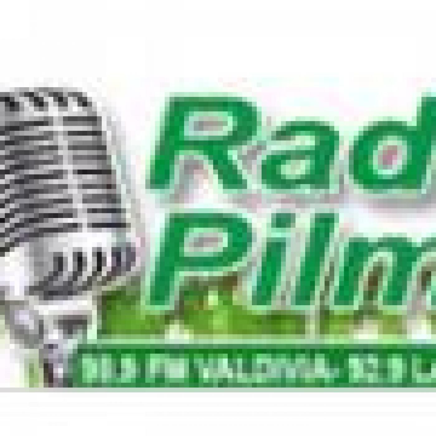 Participación en radios