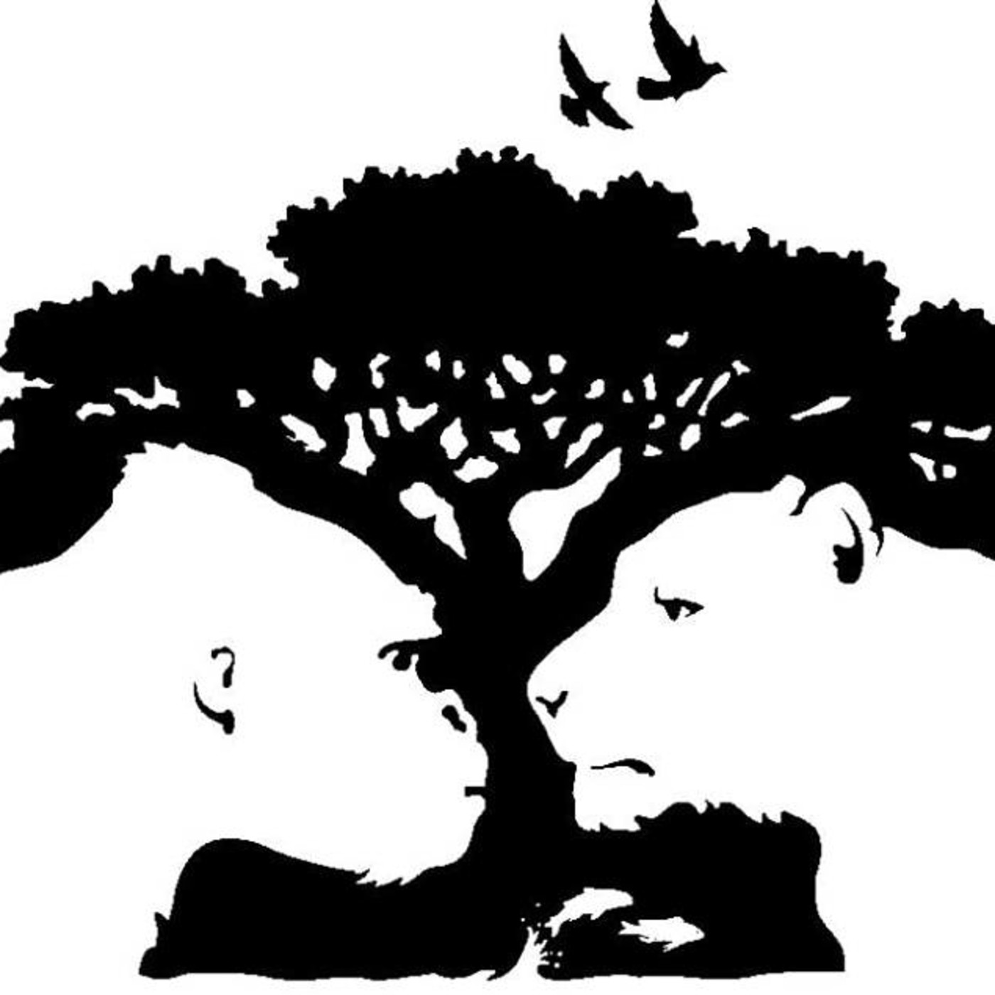 LA TELARAÑA PROGRAMAS ANTERIORES