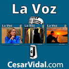 Programa Completo - 14/11/18