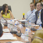 embed image