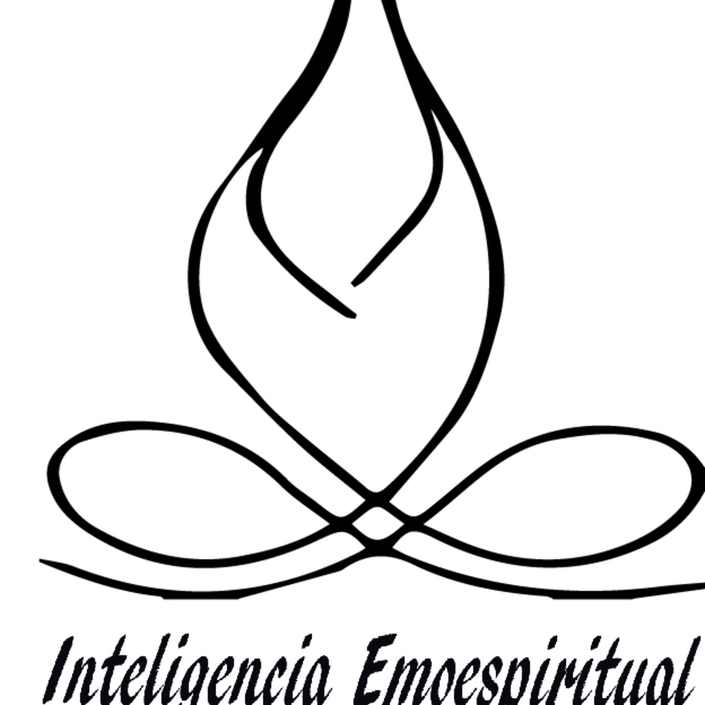 CLASES DE INTELIGENCIA EMOESPIRITUAL