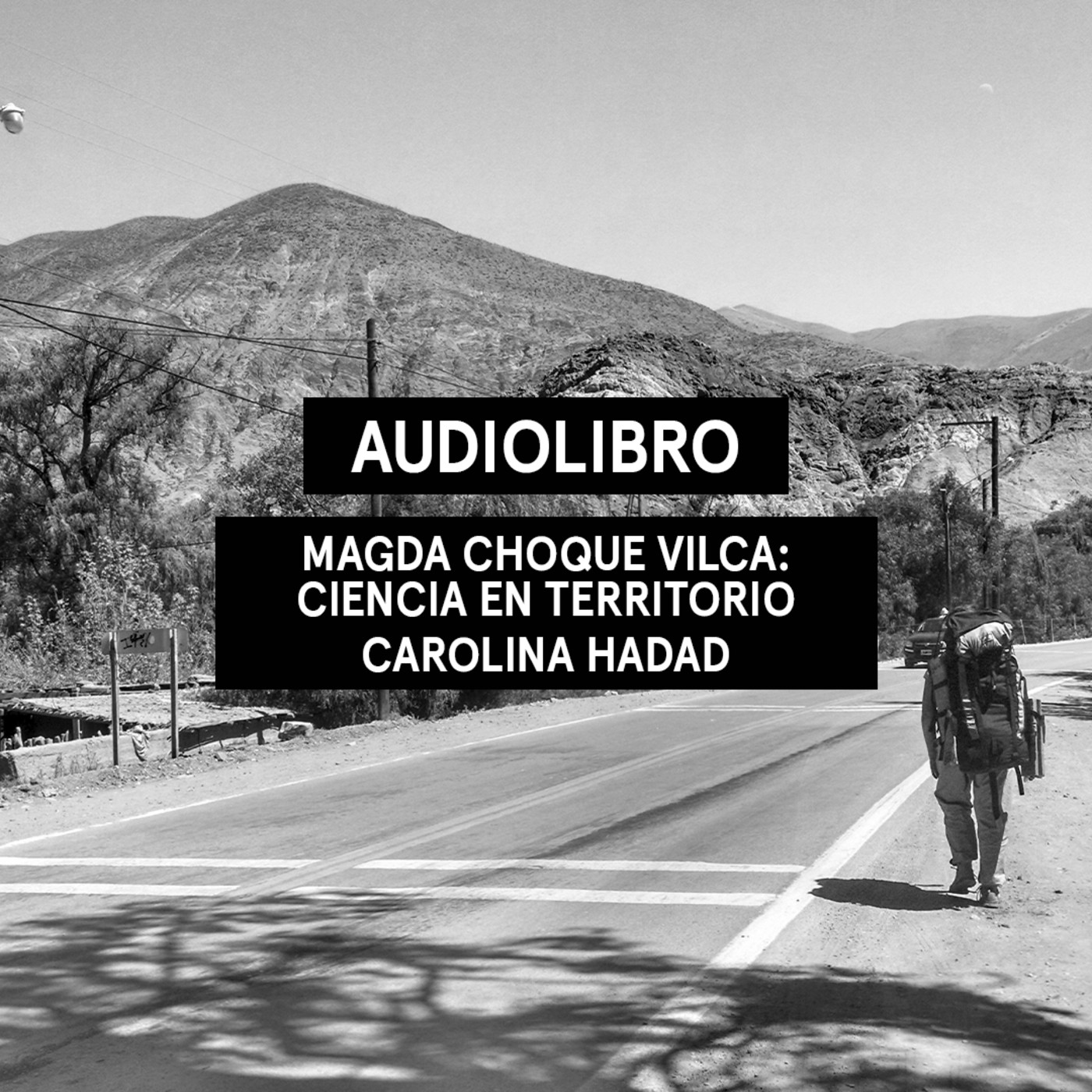 Audiolibros Por qué leer