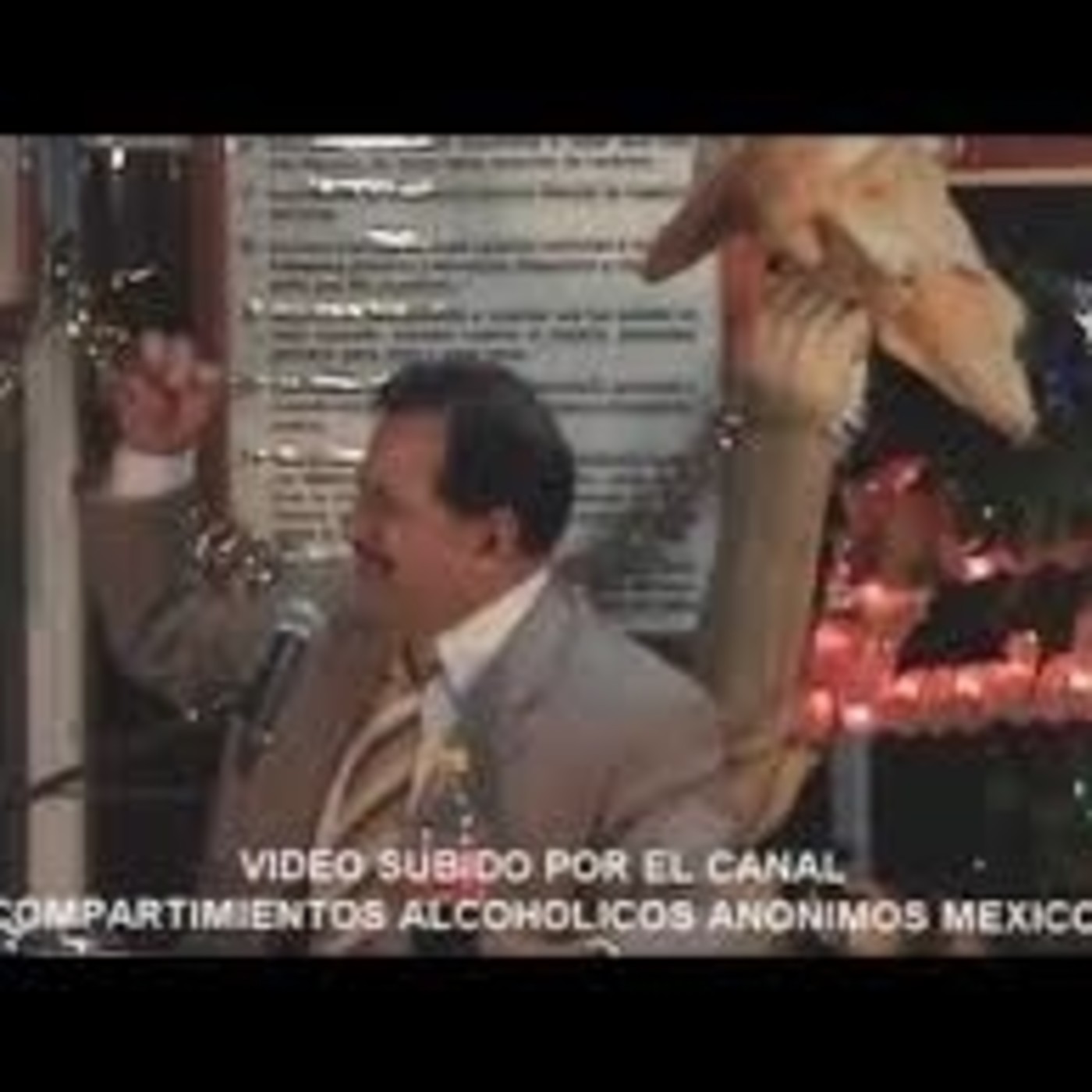 ALCOHÓLICOS CON PROPÓSITO