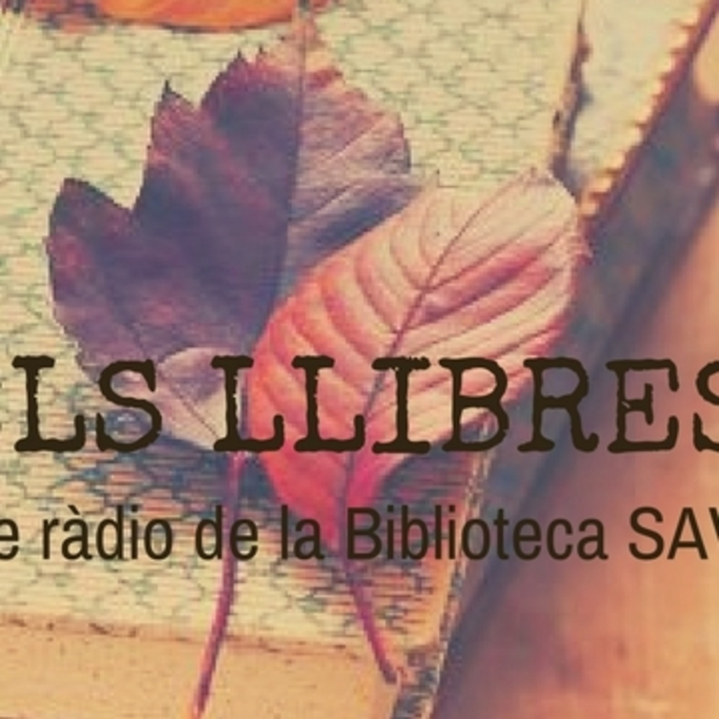 L\'Ànima dels llibres