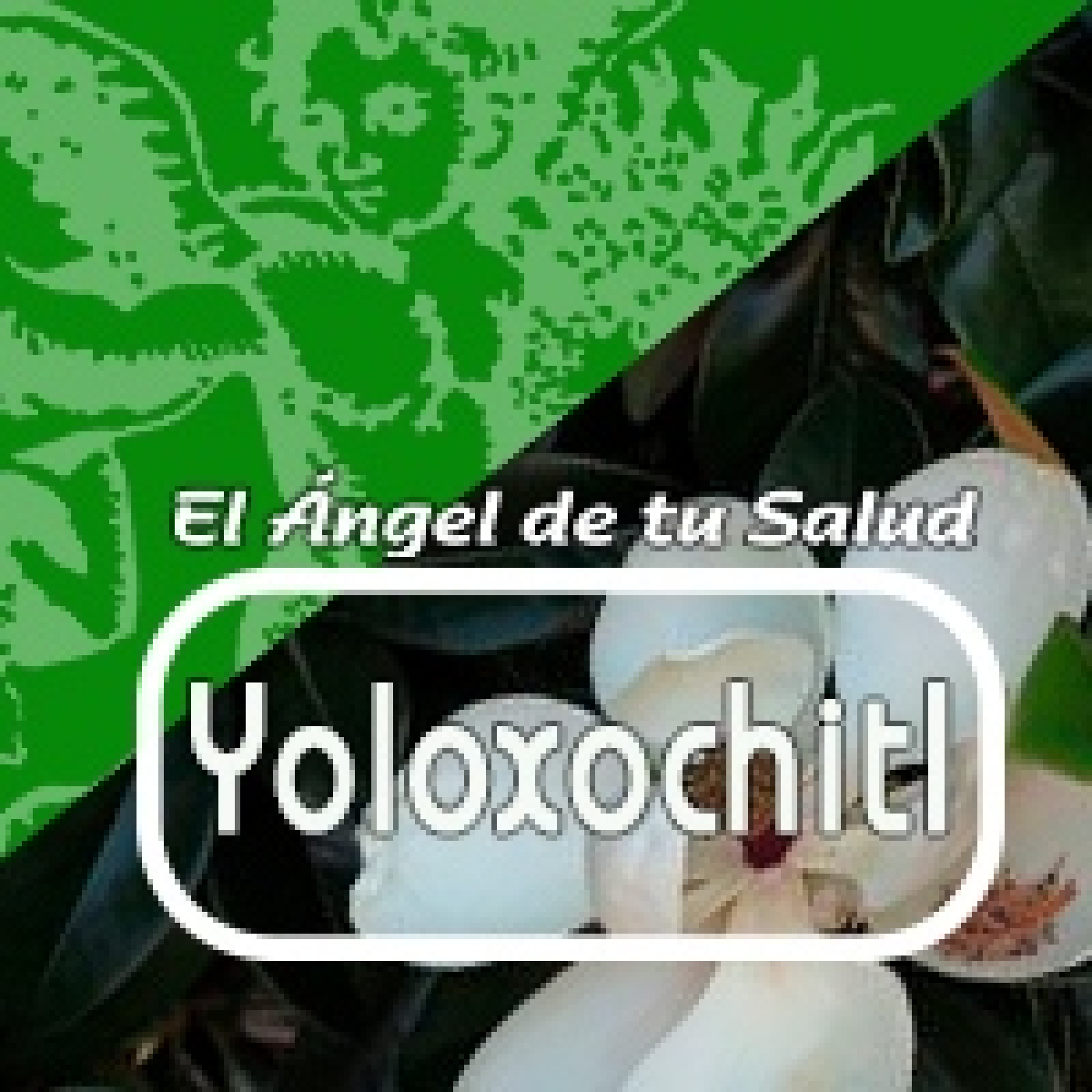 El Angel de tu Salud - YOLOXOCHITL** episode artwork