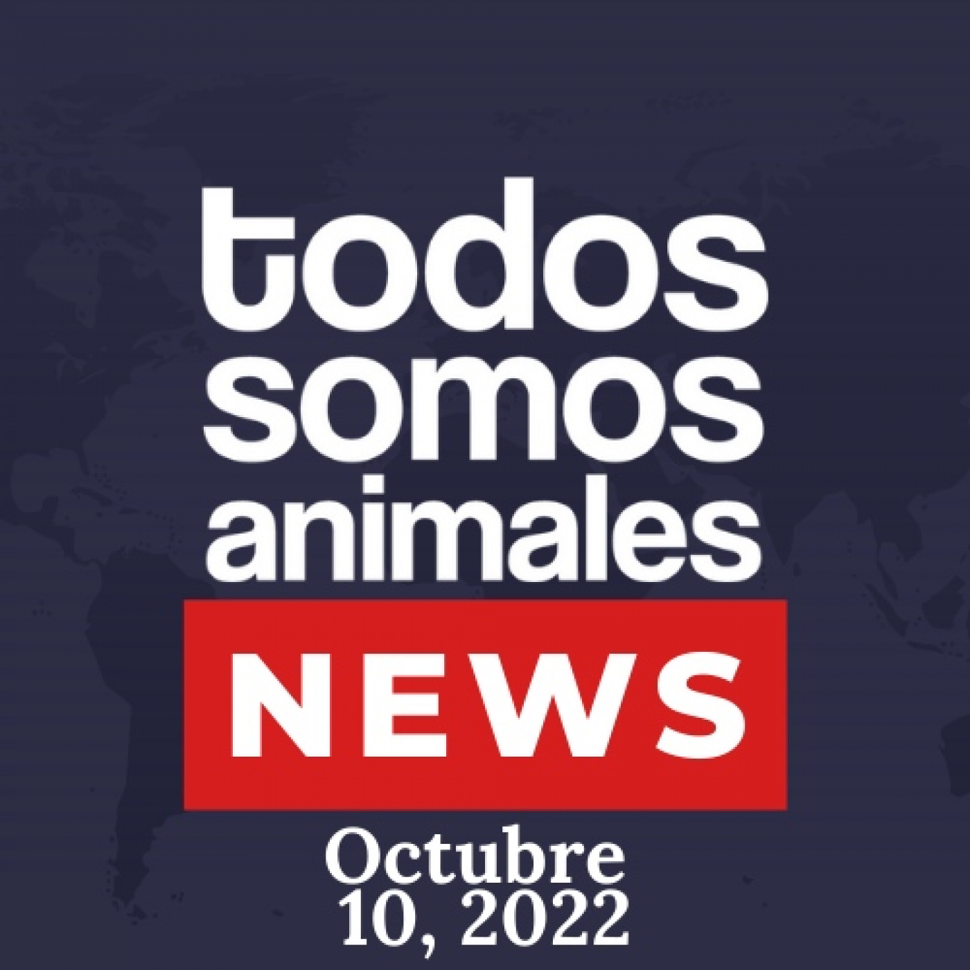 Todos Somos Animales News