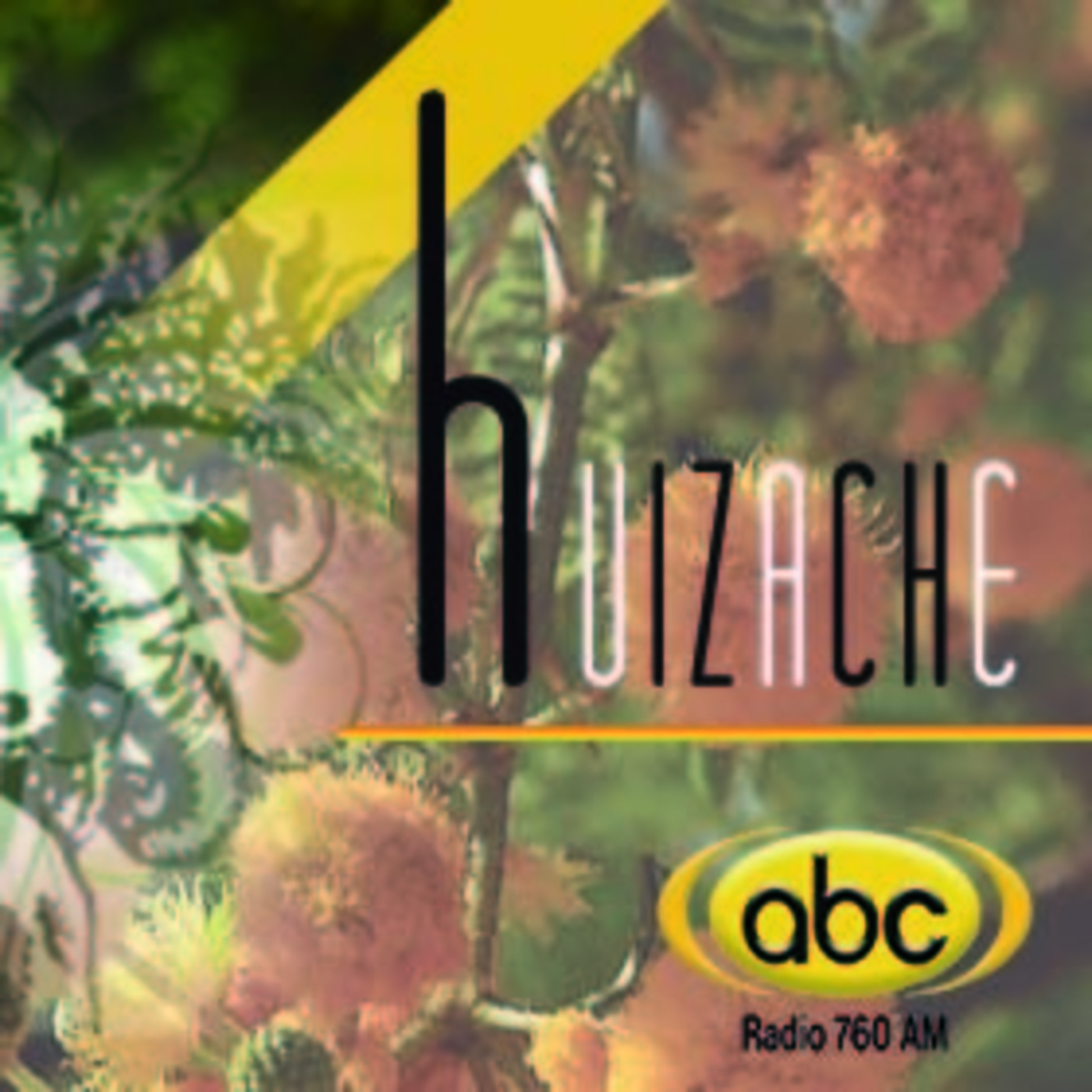 El Ángel de tu Salud - HUIZACHE episode artwork