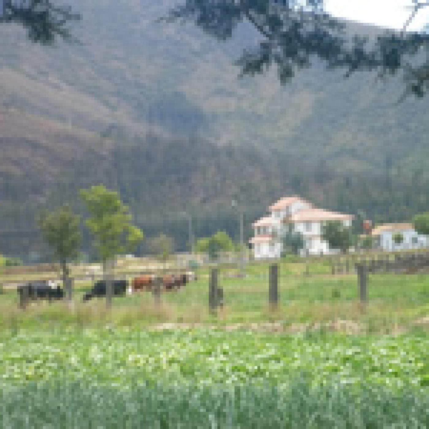 EL CAMPO, UNA DESPENSA PARA DAR Y CONVIDAR