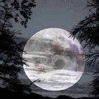La Poza De Los Lamentos (Relatos De Horror)