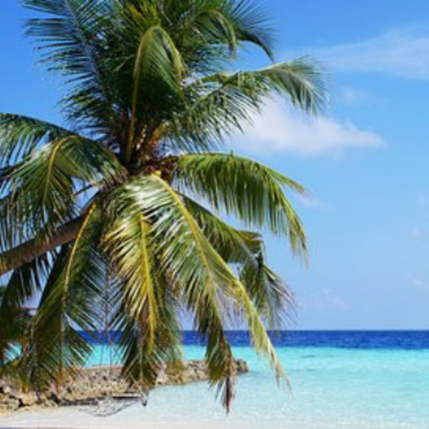 Zentrum Coaching Entrevistas