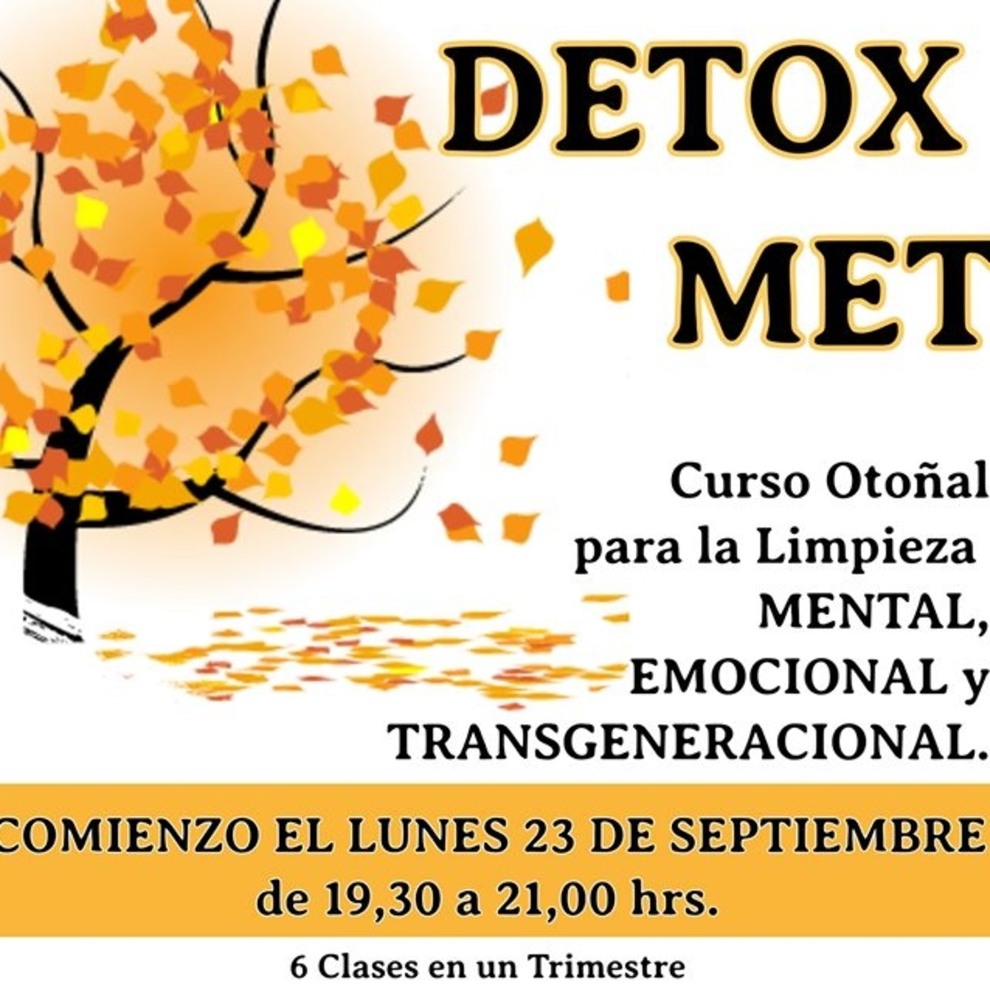 Desarrollo Personal con Luz Navas Torres