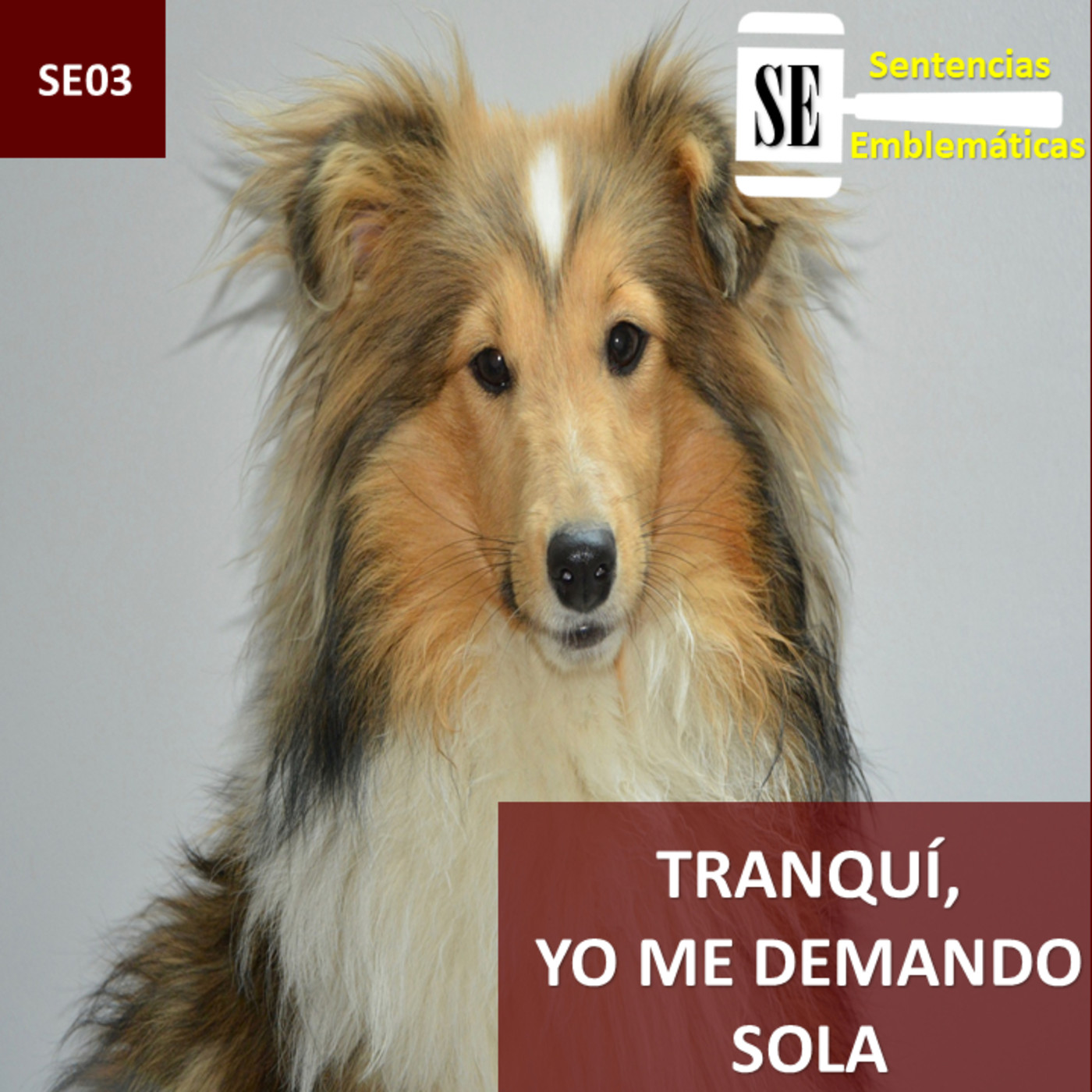 Sentencias Emblemáticas
